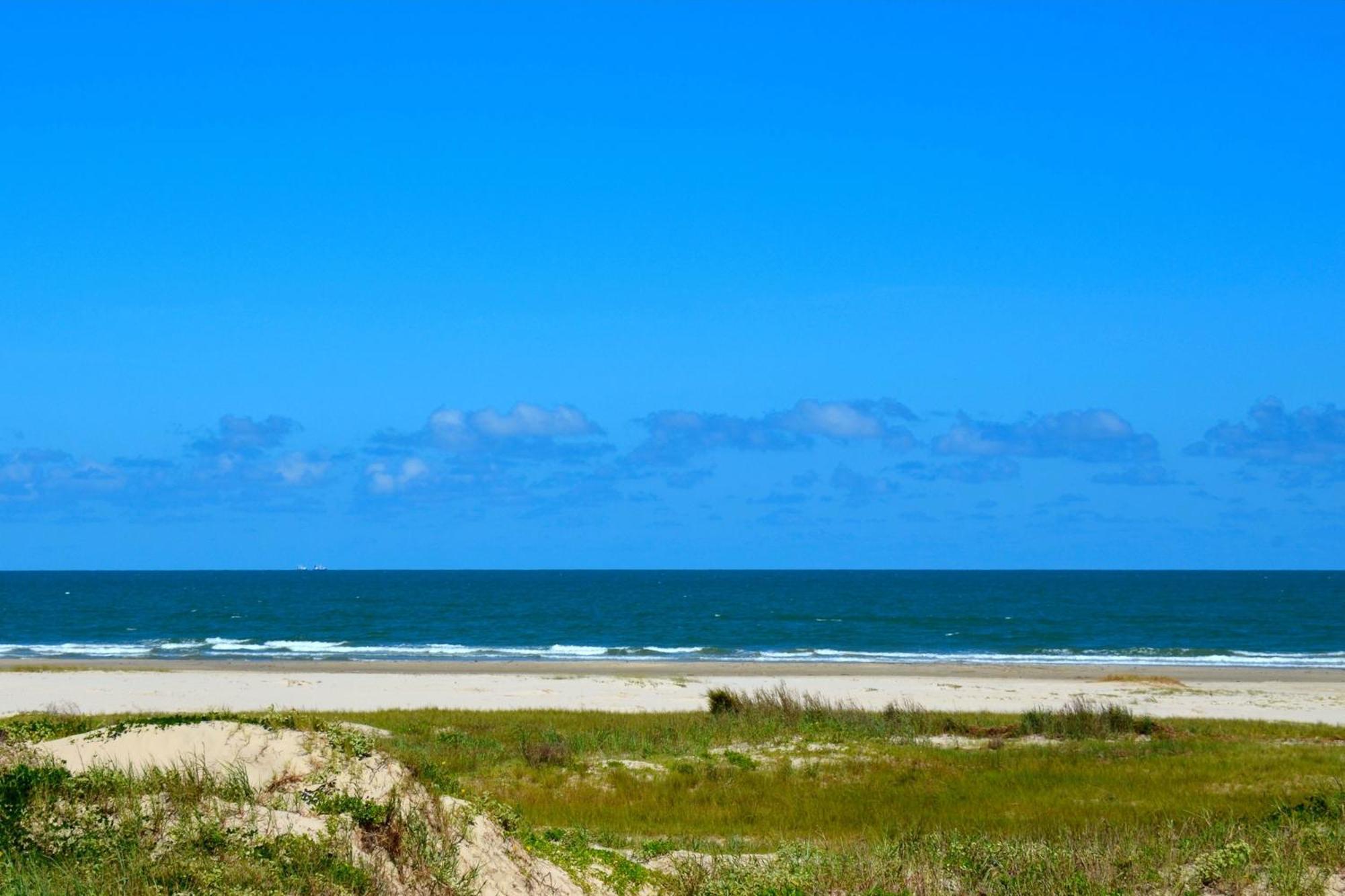 Beachfront Haven Leilighet Galveston Eksteriør bilde